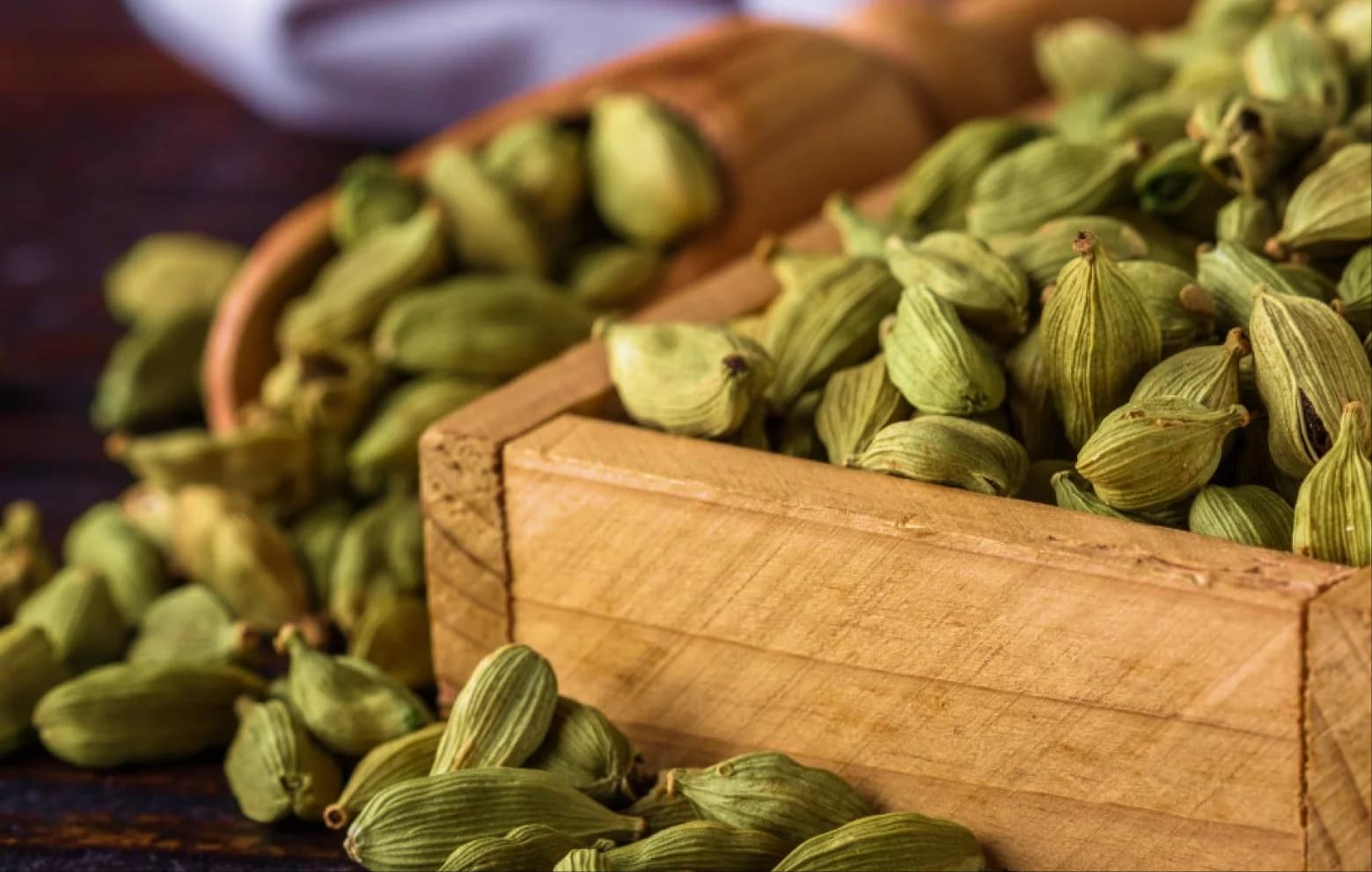 Sudharma cardamom