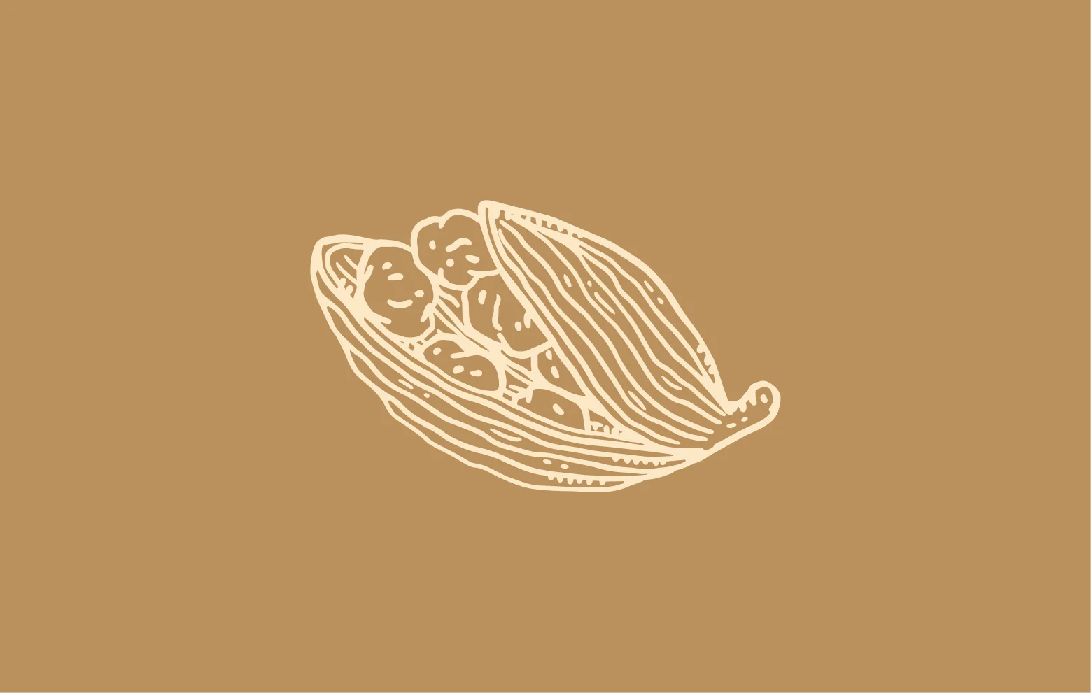 Sudharma branding illustration